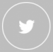 Twitter Icon